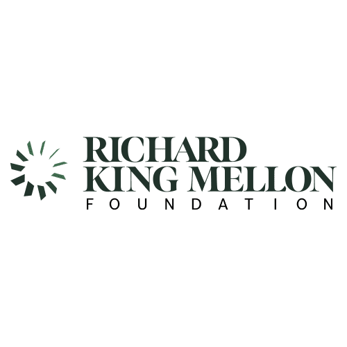 A black background with the words richard king mellon in green.
